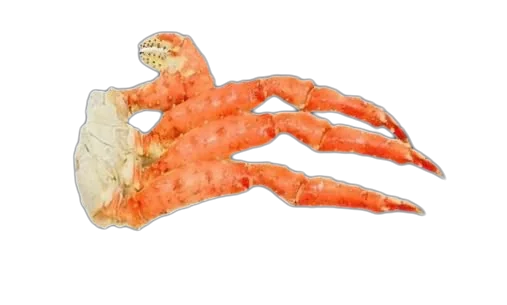 Red King Crab Merus Shell On Cooked/Frozen